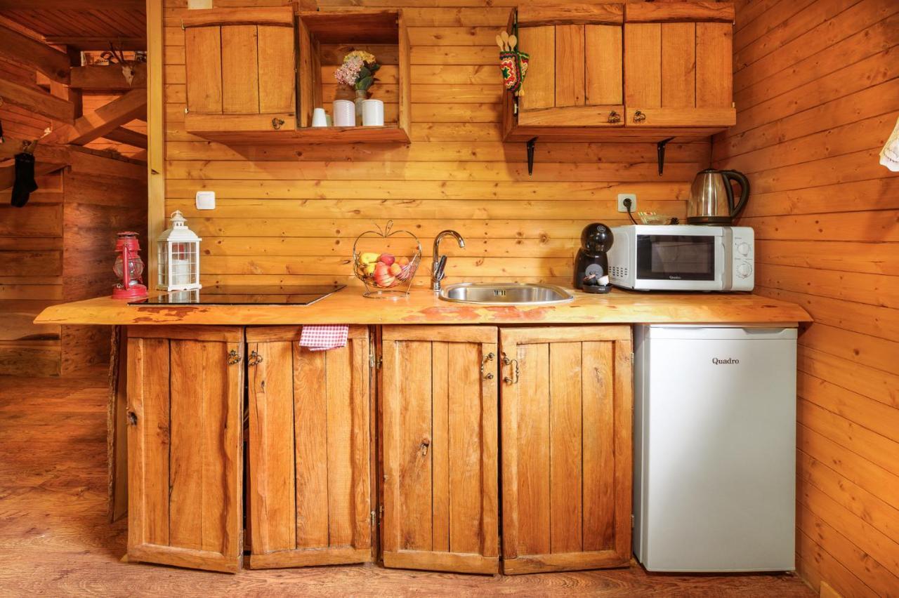 ラコヴィツァ Etno House Molendiniヴィラ エクステリア 写真