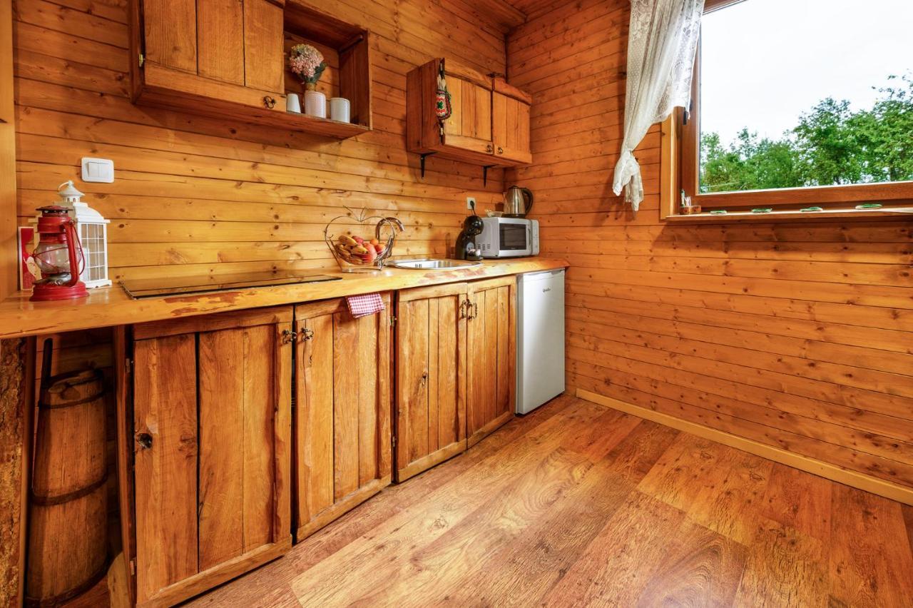 ラコヴィツァ Etno House Molendiniヴィラ エクステリア 写真