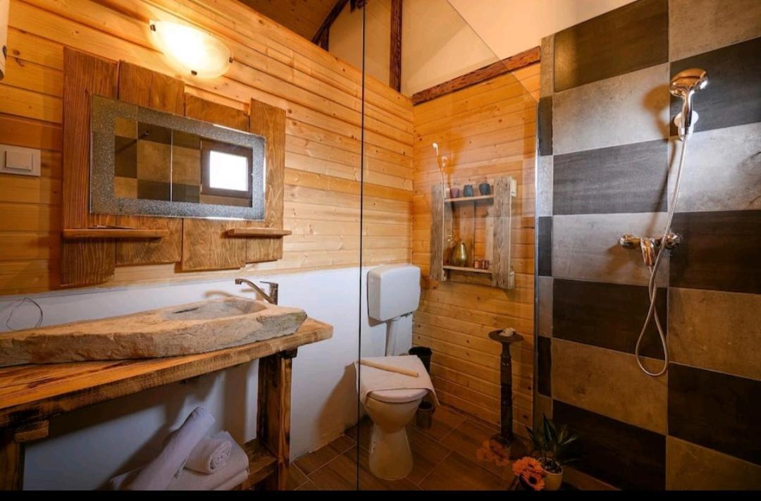 ラコヴィツァ Etno House Molendiniヴィラ エクステリア 写真